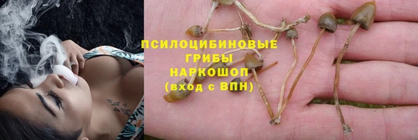 герыч Ладушкин