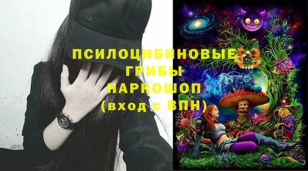 герыч Ладушкин