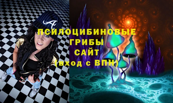 герыч Ладушкин
