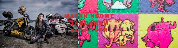 герыч Ладушкин